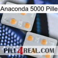 Anaconda 5000 Pill 25